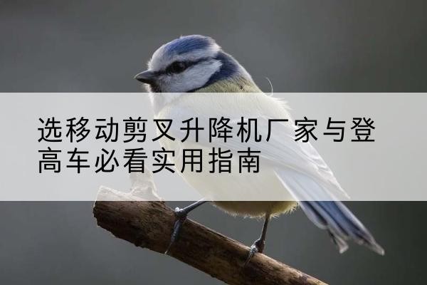 镇海电动升降机厂家-选移动剪叉升降机厂家与登高车必看实用指南