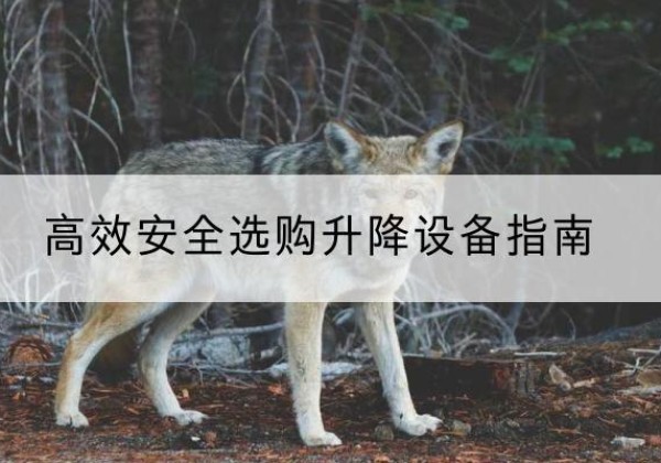 镇海升降货梯厂家推荐-*安全选购升降设备指南