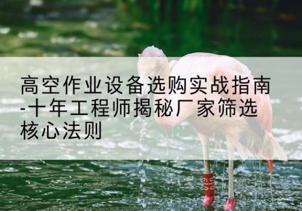 镇海剪叉式升降机厂家-高空作业设备选购实战指南-十年工程师揭秘厂家筛选核心法则