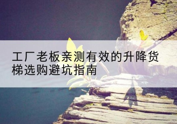 镇海升降货梯怎么选-工厂老板亲测有效的升降货梯选购避坑指南